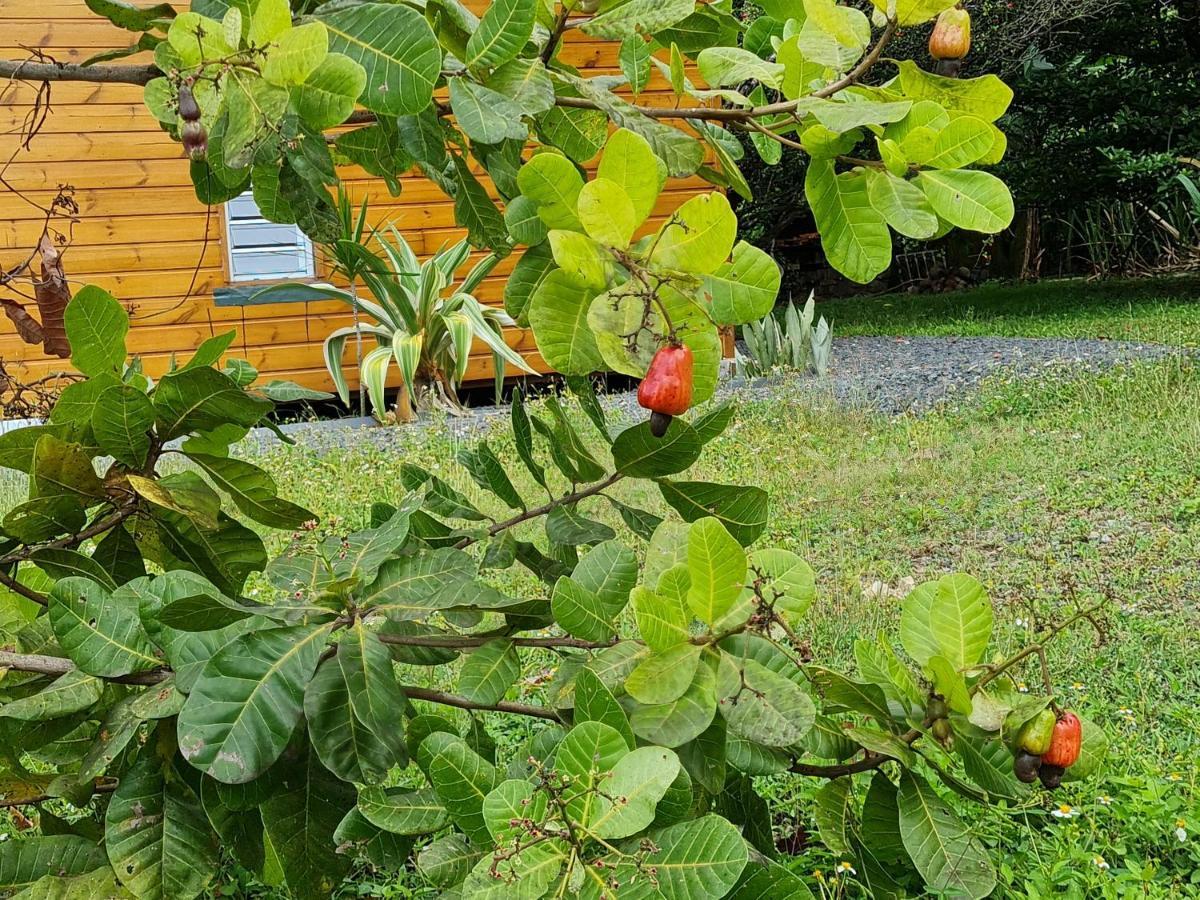 La Kaz Nature Bien-Etre 珀蒂堡 外观 照片