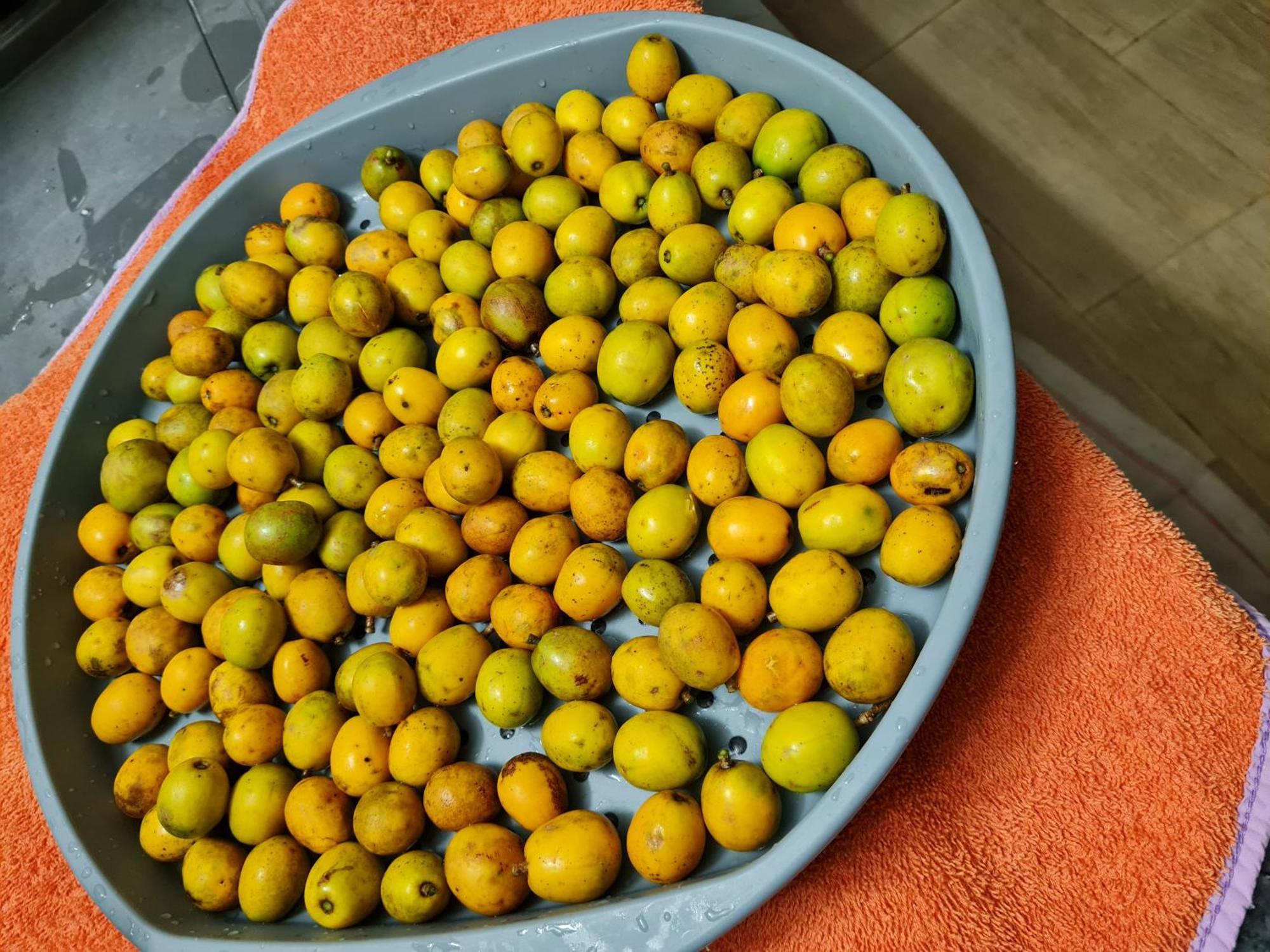 La Kaz Nature Bien-Etre 珀蒂堡 外观 照片